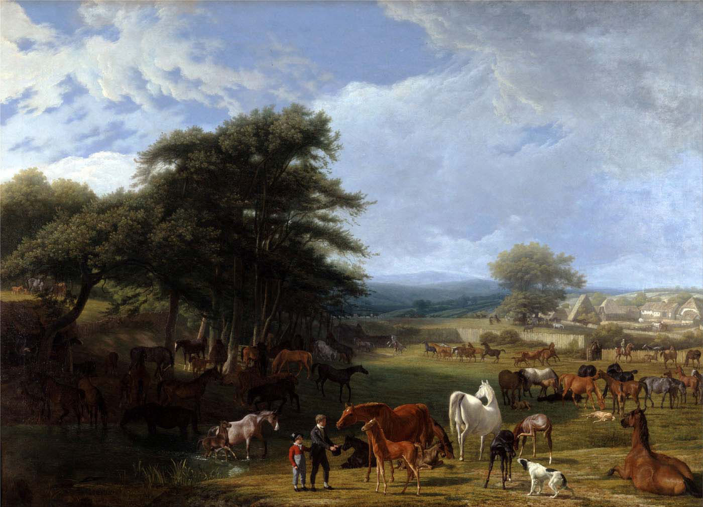 lord rivers's stud farm stratfield saye